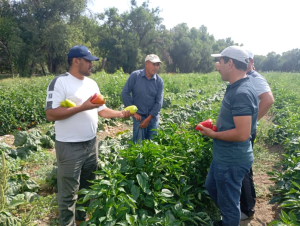 Success story of farmer