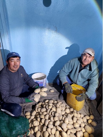 Без заголовка