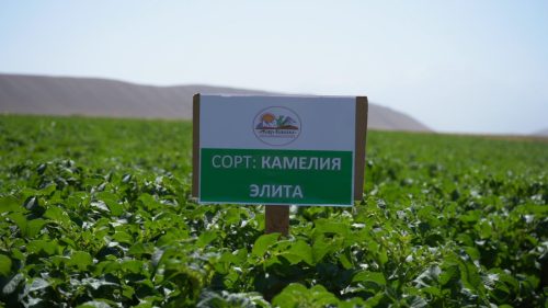 c0173t01