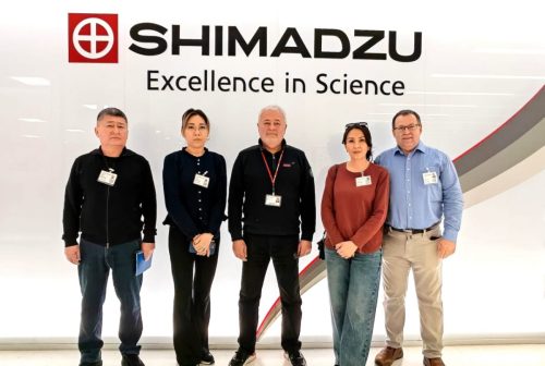 photo 5377600007705401635 y