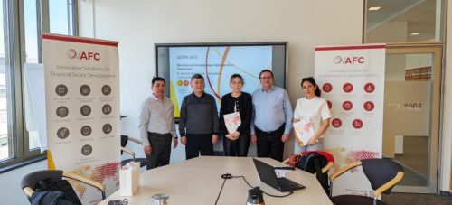 photo 5377600007705401636 y