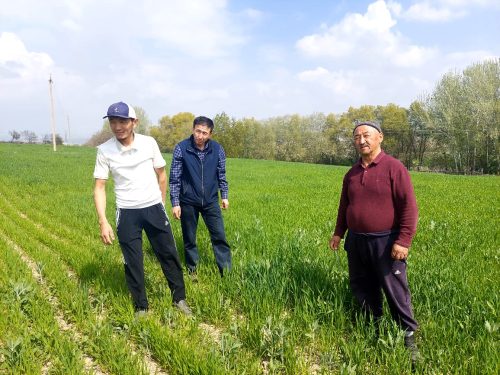 photo 5404880884055348007 y