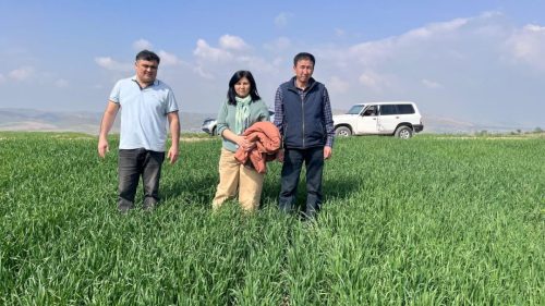 photo 5404880884055348009 y