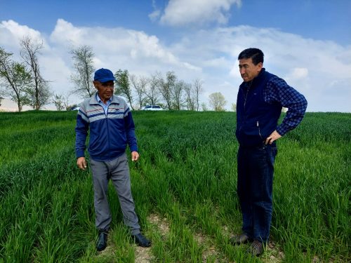 photo 5404880884055348011 y