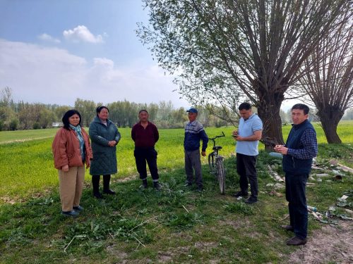 photo 5404880884055348012 y