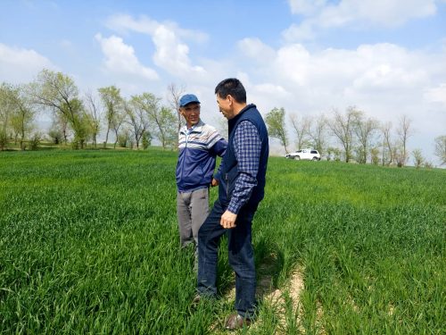 photo 5404880884055348013 y