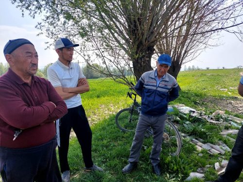 photo 5404880884055348014 y