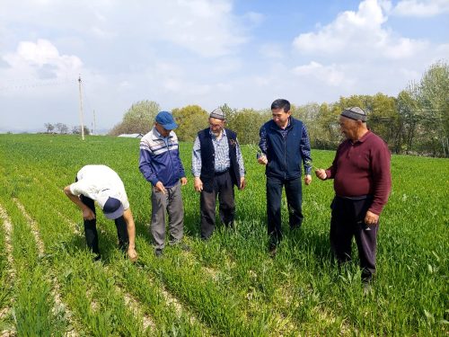 photo 5404880884055348015 y