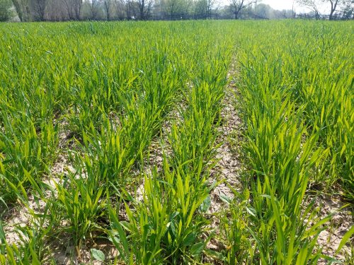 photo 5404880884055348016 y