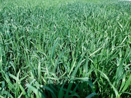 photo 5404880884055348017 y