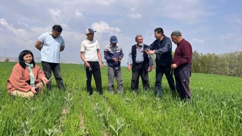 photo 5404880884055348018 y