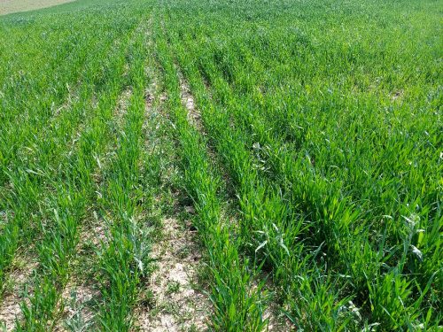 photo 5404880884055348019 y