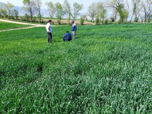 photo 5404880884055348020 y