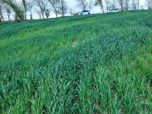 photo 5404880884055348021 y