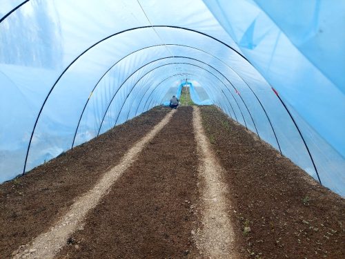 photo 5404880884055348041 y