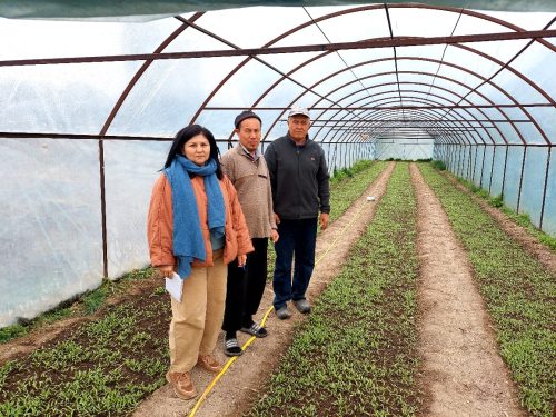 photo 5404880884055348045 y