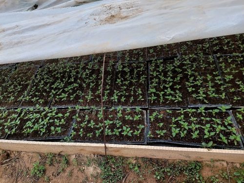 photo 5404880884055348046 y