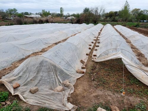 photo 5404880884055348047 y