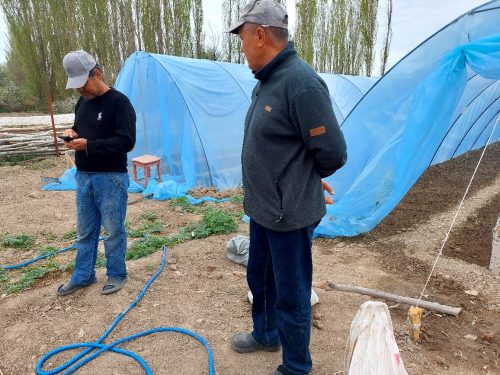 photo 5404880884055348048 y