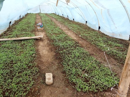 photo 5404880884055348049 y