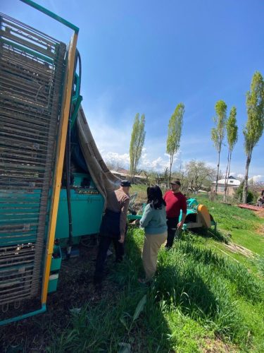 photo 5404880884055348052 y