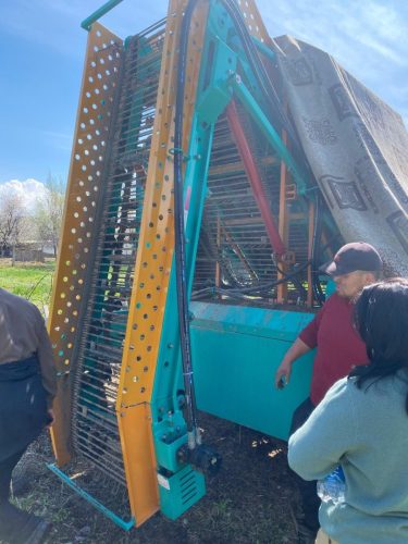 photo 5404880884055348053 y