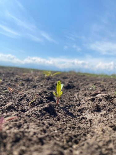 photo 5404880884055348054 y