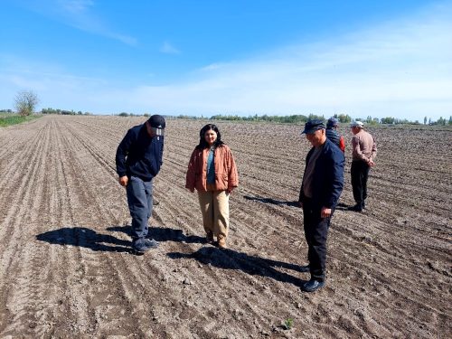 photo 5404880884055348055 y