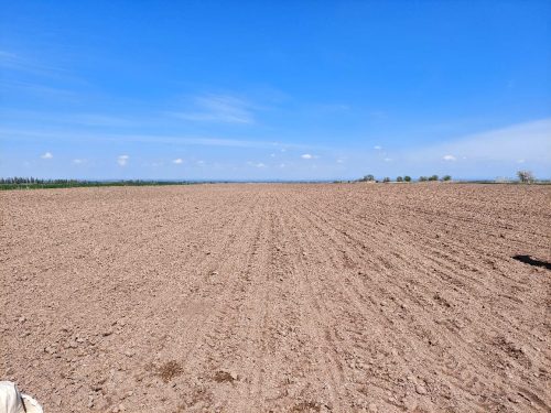 photo 5404880884055348056 y