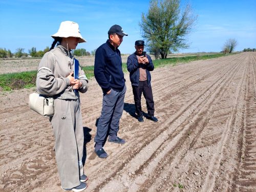 photo 5404880884055348057 y