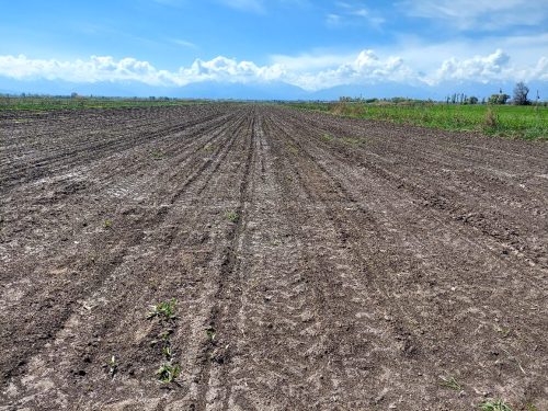 photo 5404880884055348059 y