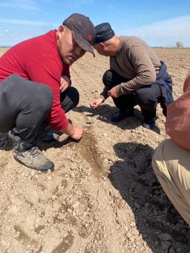 photo 5404880884055348060 y