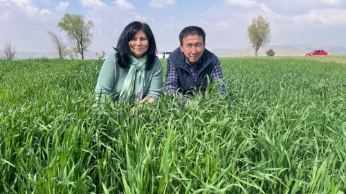 photo 5404880884055348063 y