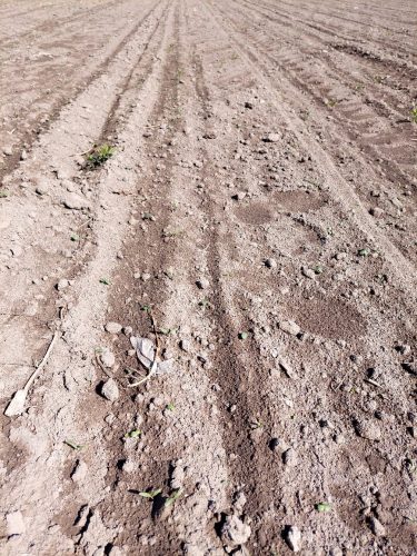 photo 5404880884055348064 y