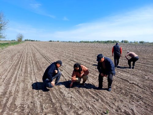 photo 5404880884055348065 y