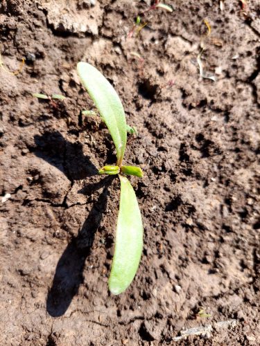 photo 5404880884055348066 y