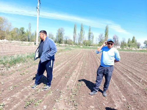 photo 5404880884055348067 y