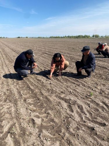 photo 5404880884055348068 y