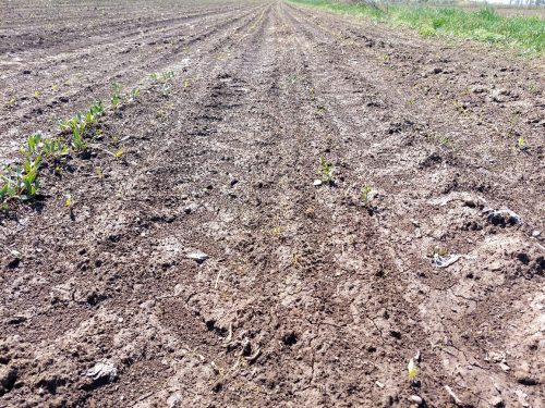 photo 5404880884055348069 y