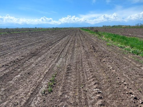 photo 5404880884055348070 y