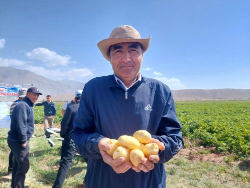 seed-potatoes-filed-day 2