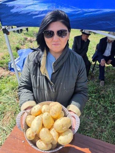 seed-potatoes-filed-day 8