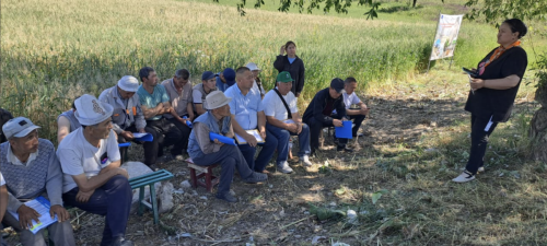 snimok-ekrana-2025-06-21-v-17.04.04