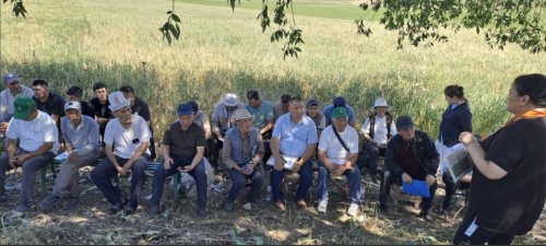 snimok-ekrana-2025-06-21-v-17.05.08