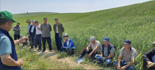 snimok-ekrana-2025-06-21-v-17.05.34