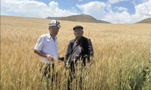snimok-ekrana-2025-06-21-v-17.06.40