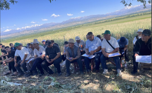 snimok-ekrana-2025-06-21-v-17.07.25