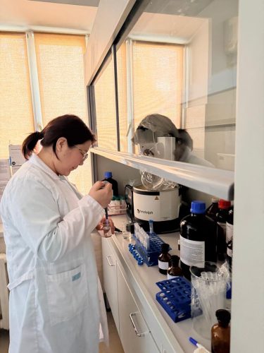 whatsapp-image-2026-03-03-at-05.24.36-3